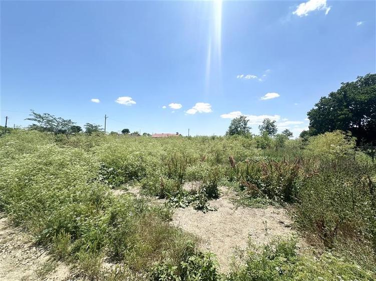 Teren Construcții intravilan de 1700 mp, în Amzacea