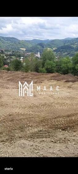 Teren de 3000 mp, în Albac