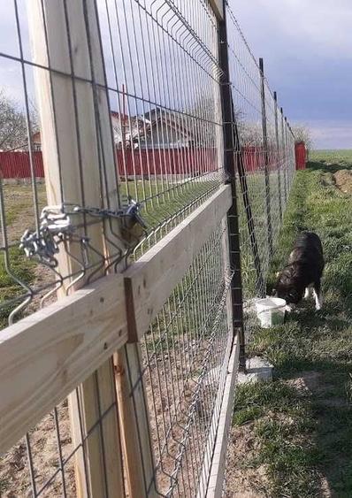 Teren de 500 mp, în Glina
