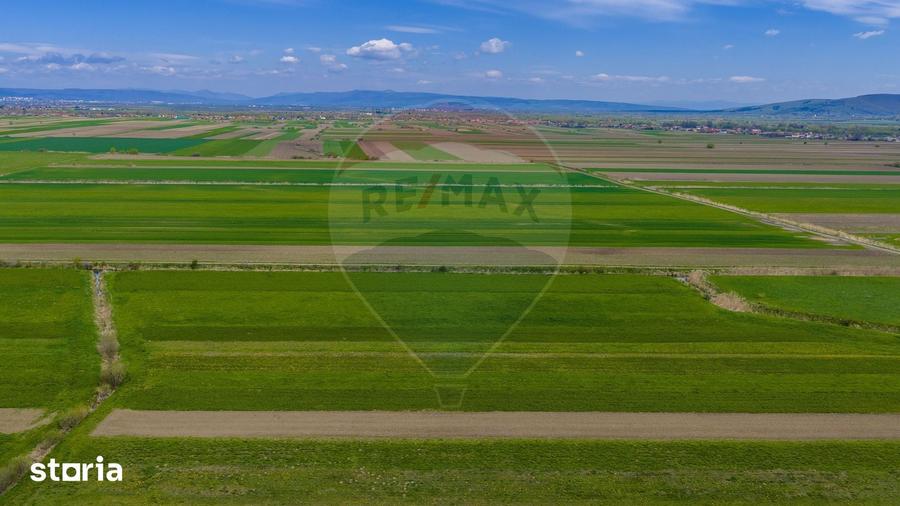Teren de 4000 mp, în Prejmer