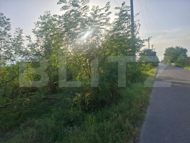 Teren Construcții extravilan de 5000 mp, în Viișoara