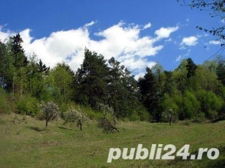 Teren de 500 mp, în Săbăreni