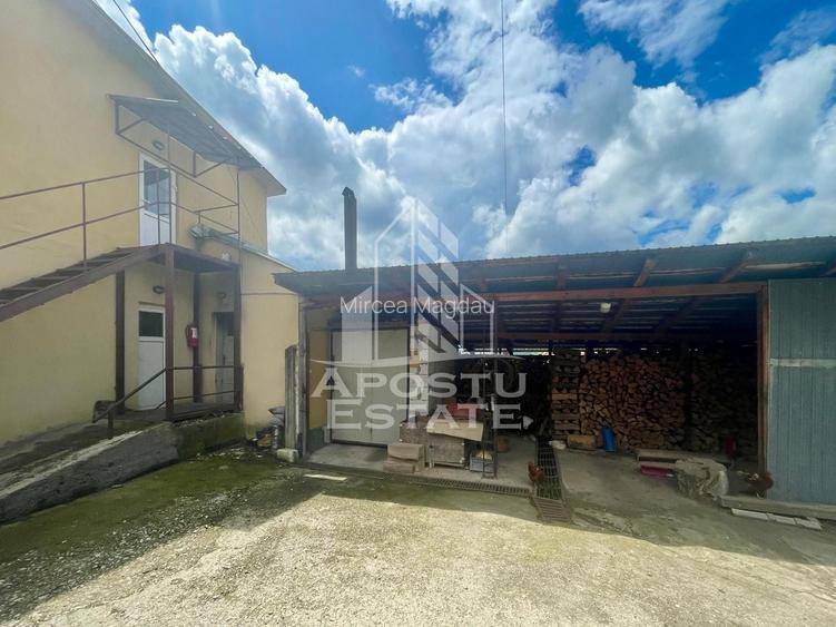 Spatii productie si depozitare, zona Sebis - Prunisor-Carand