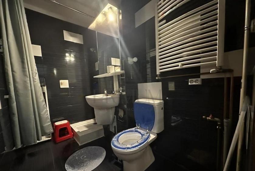Apartament 1 camera-Aradului-Centrala-AC-Renovat - 5