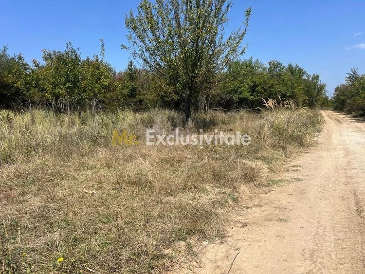 Teren de 5744 mp, în Moșoaia