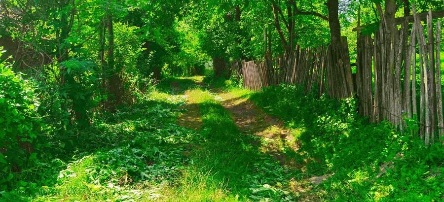 Teren Construcții intravilan de 9289 mp, în Breaza