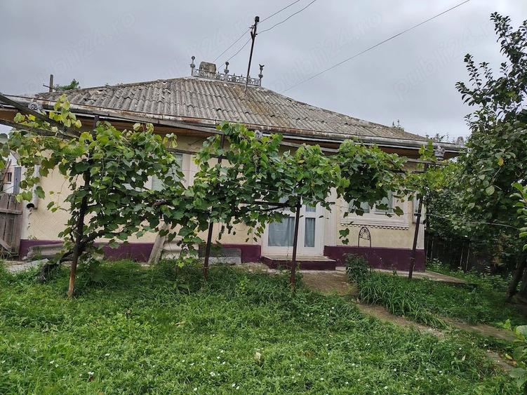 Casă cu 3 camere cu Teren 3600 Mp în Lunca
