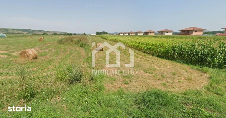 Teren intravilan 2.900 mp | Jucu de Sus - 2