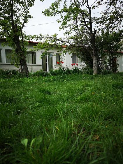 Casă cu Teren 1504 Mp în Puchenii Mari