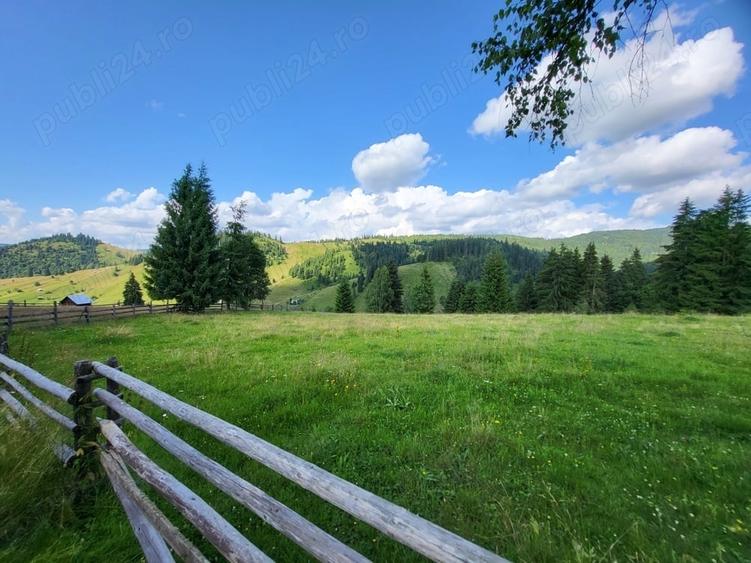 Teren de 5000 mp, în Ortoaia