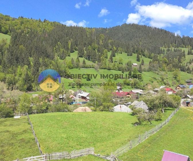 Casă individuală cu 3 camere cu Teren 3302 Mp în Bicazu Ardelean
