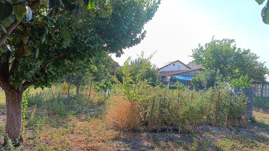 Casă cu 4 camere în Exterior Vest