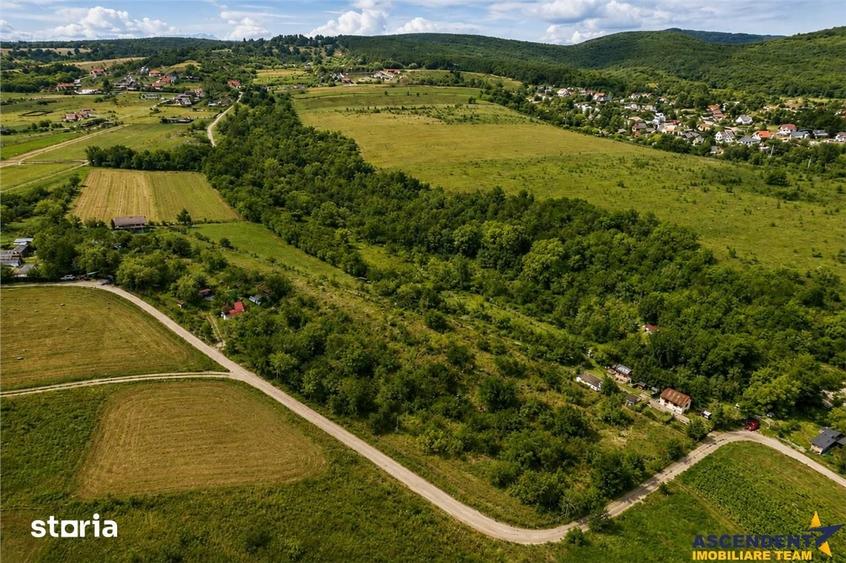 Teren de 4500 mp, în Ilieni