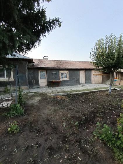 vand casa - 4