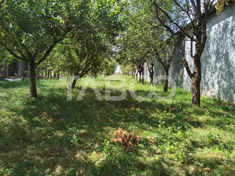 Teren Construcții intravilan de 1100 mp, în Poplaca