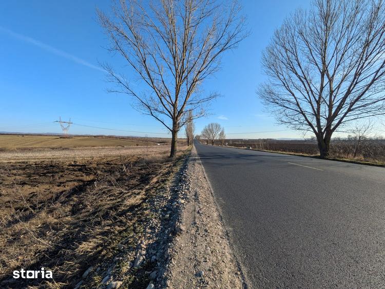 Teren de 10000 mp, în Săucești
