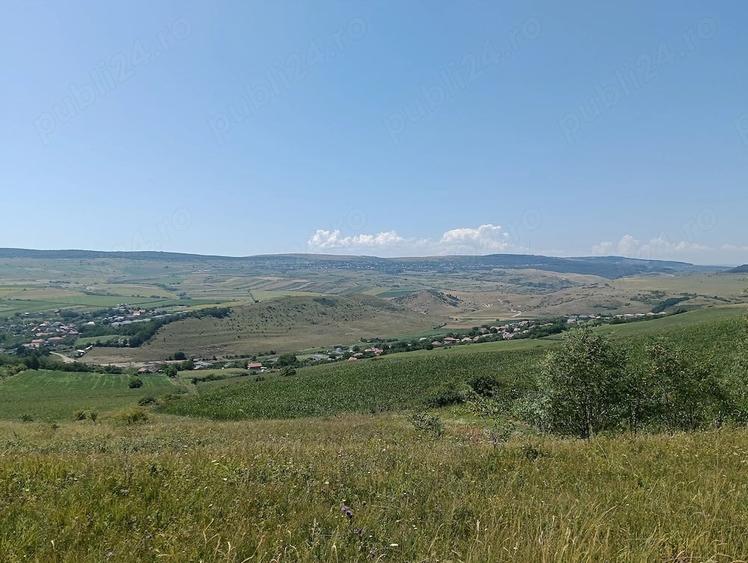 Teren de 5800 mp, în Apahida