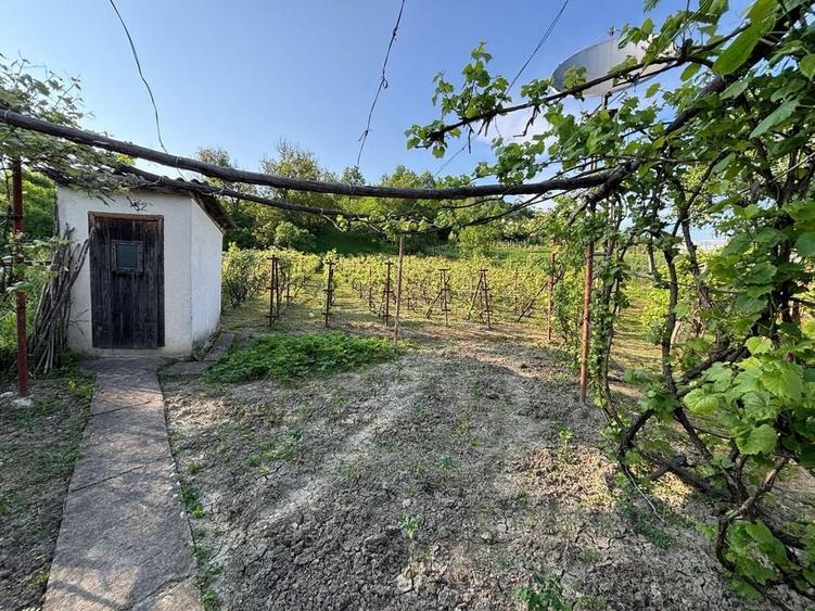 Casă cu 4 camere în Sănduleni