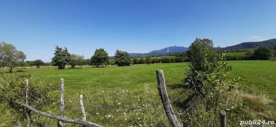 Teren 9350 mp Bran Livada, Extravilan - 3