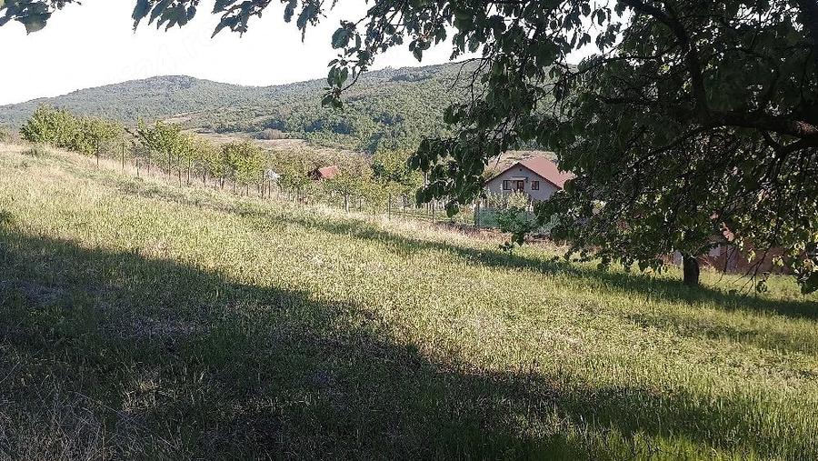Teren de 880 mp, în Chicerea