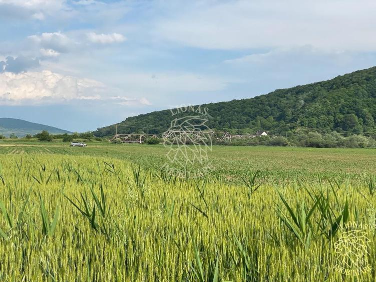 Teren agricol extravilan de 4300 mp, în Chintelnic