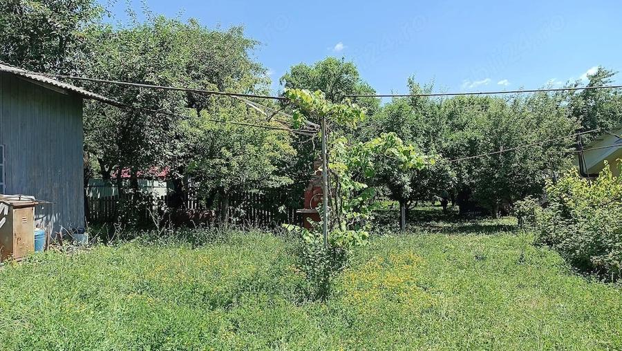 Teren de 10000 mp, în Ruginoasa