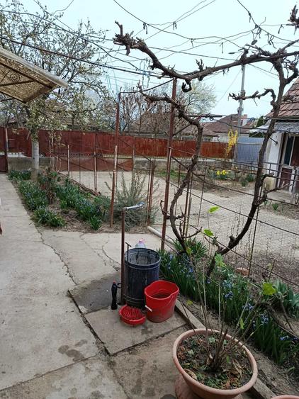 Casă cu 3 camere în Central