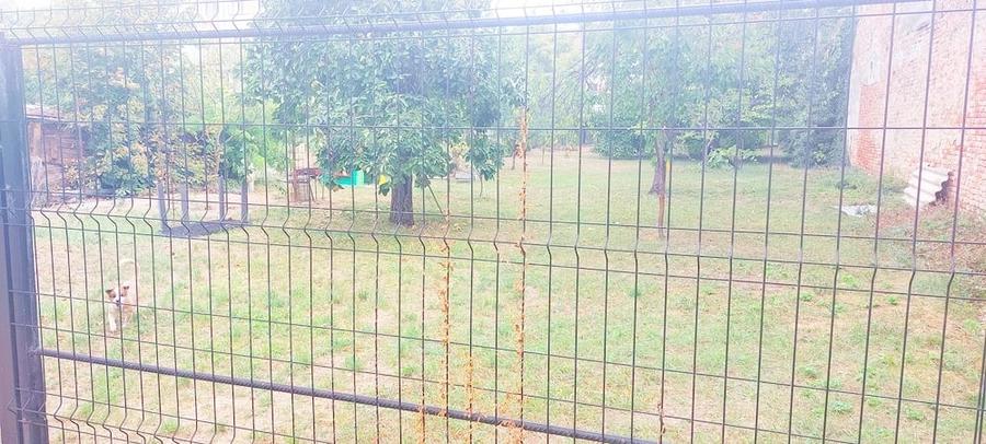 Chirie 200 euro| gara de nord bari?iu | centrala gaz | parter la casa - 6