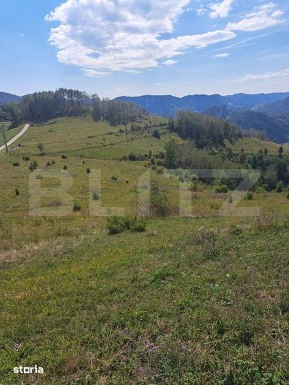 Teren de 4604 mp, în Ponor
