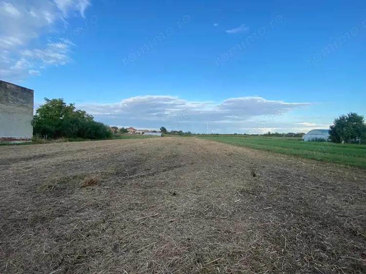 Teren de 4332 mp, în Boldur