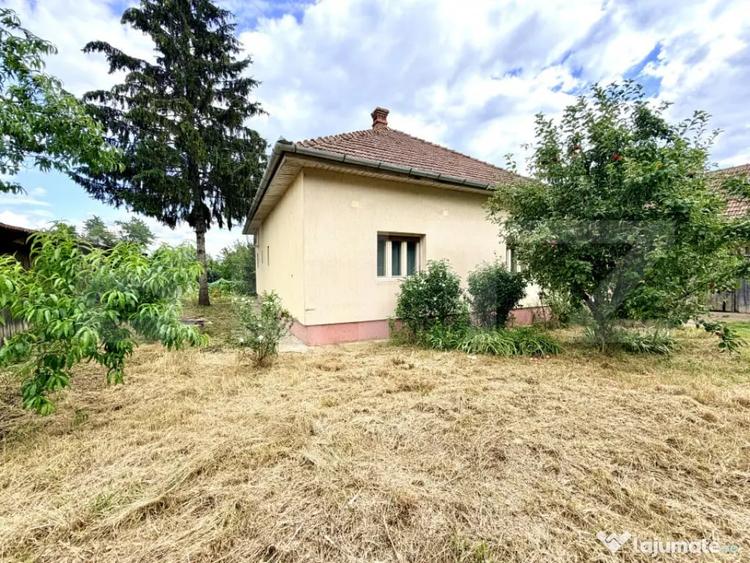 Proprietate cu doua case, 145 mp, anexe si teren 1.300 mp, - Alba Iulia (Alba) - 1
