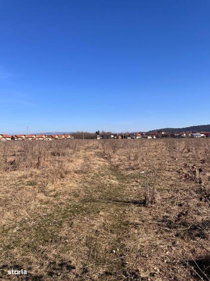 Teren de 527 mp, în Sânpetru