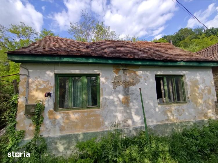 Sasca Montana | Oportunitate | Casa cu 230 MP Teren - 1