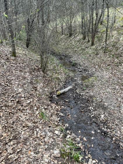 Teren extravilan de vanzare, 3.5 ha padure + pasune in Comuna Borod - 5