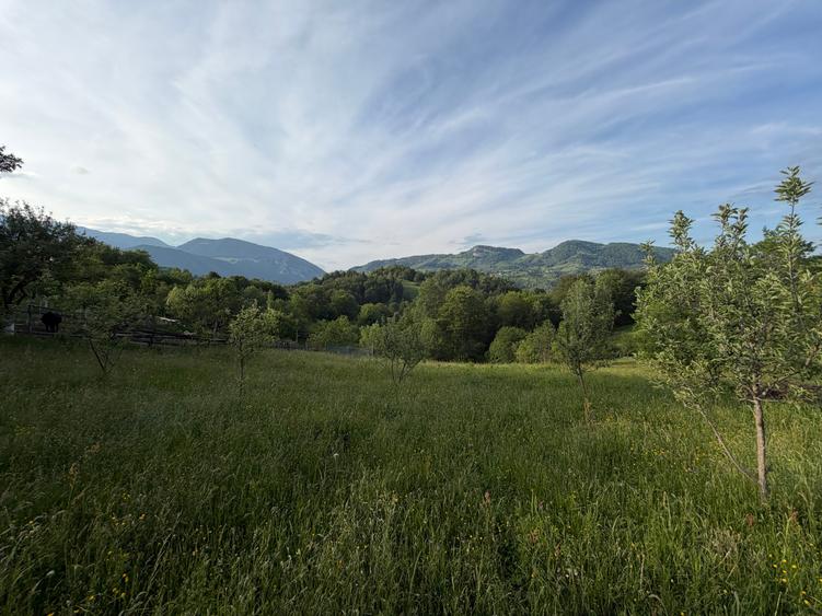Teren Construcții intravilan de 2000 mp, în Peștera