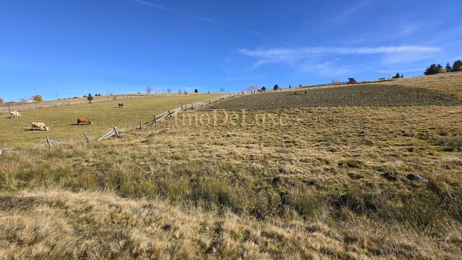 Teren agricol extravilan de 4130 mp, în Mărișel