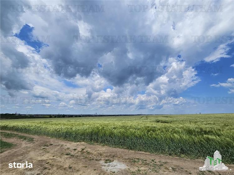 Teren de 50000 mp, în Agigea