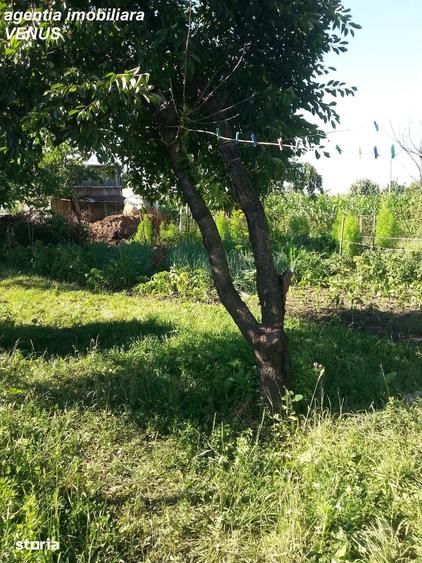 Teren de 1560 mp, în Mihai Eminescu