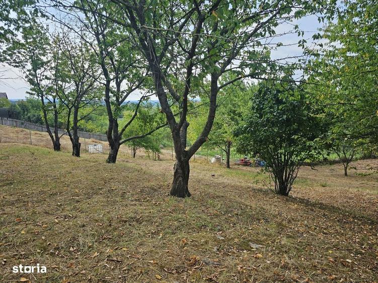Vila rustica cu teren ca la munte 1291 mp semi central Iasi - 7