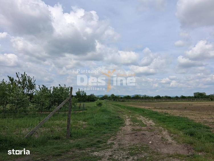 Teren Extravilan de Vanzare Maracineni, Sat Argeselu - 7