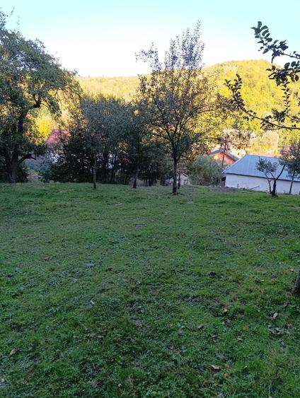 Teren de 1599 mp, în Bughea de Jos