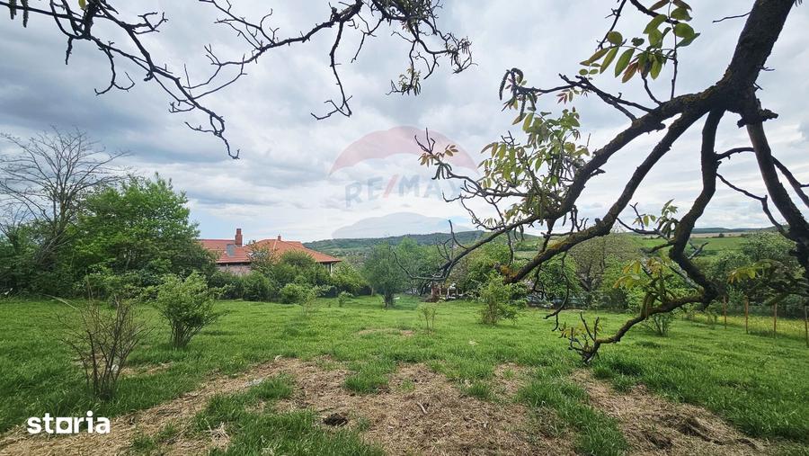 Teren de 5350 mp, în Dobreni