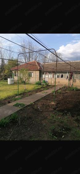 Casă cu Teren 980 Mp în Movila Banului