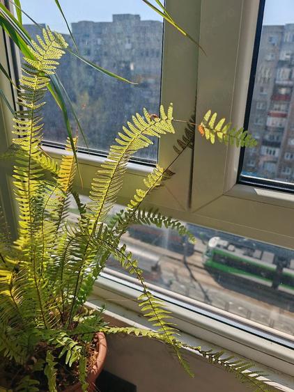 Apartament cu 3 camere decomandat în Crângași