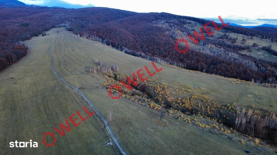 Teren de 126700 mp, în Bățani