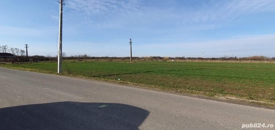 Teren de 5300 mp, în Odoreu