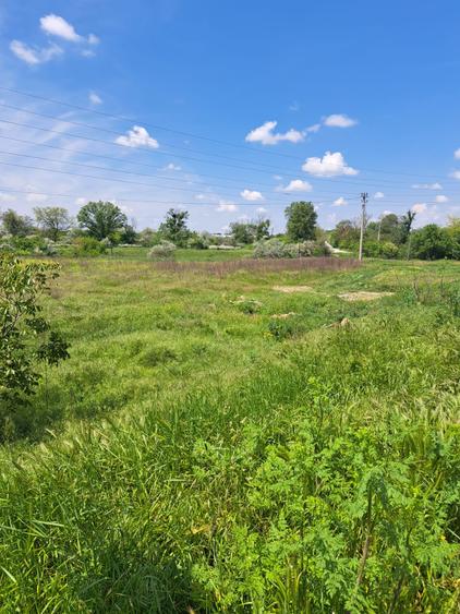 Teren Construcții intravilan de 2500 mp, în Agigea