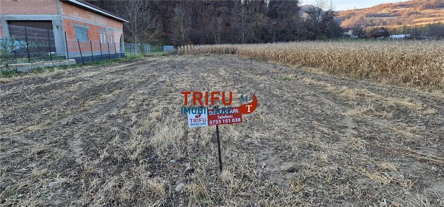 Teren Construcții intravilan de 1000 mp, în Ampoița