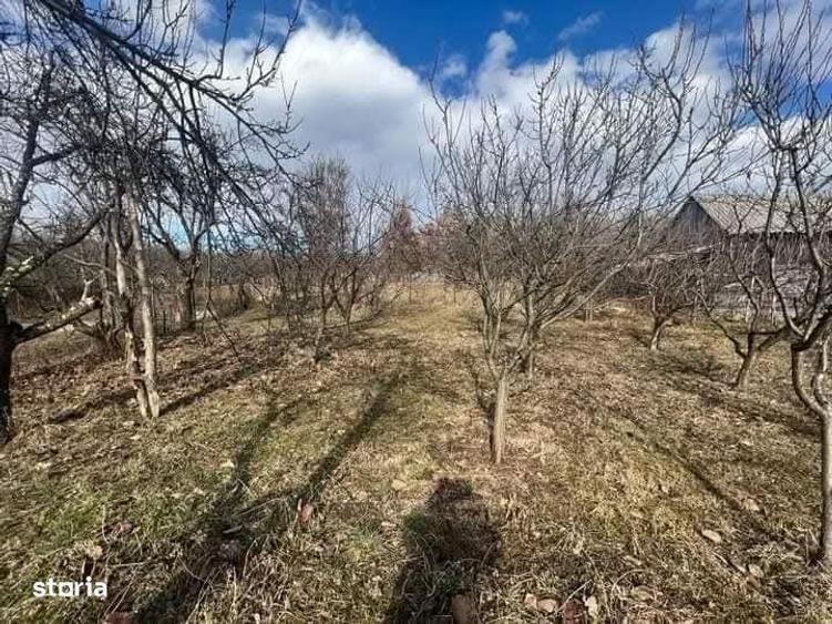 Casă cu 4 camere cu Teren 2064 Mp în Central