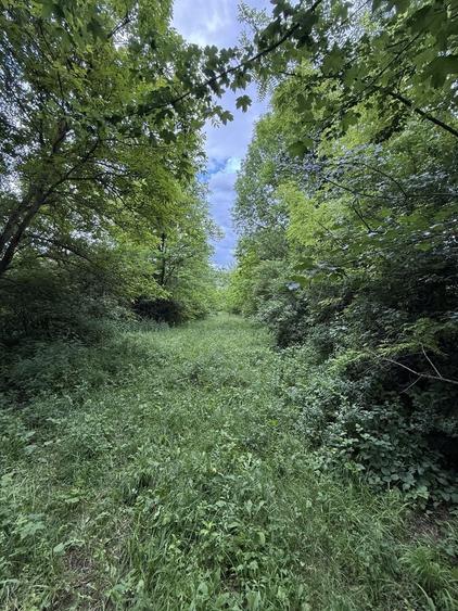 Teren Construcții intravilan de 3800 mp, în Provița de Sus